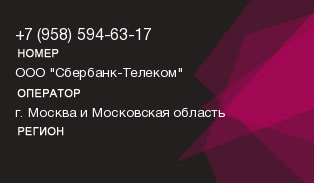 9585946317
